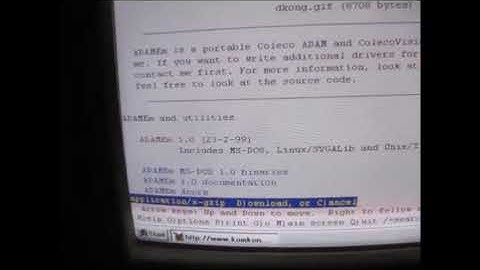 Lynx browser - HTTP & Gopher - 1996 Packard Bell with Windows 95