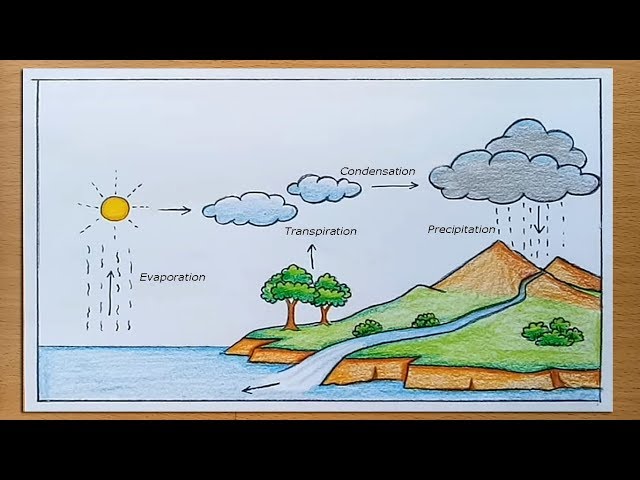 Water Cycle Drawing Assignment at GetDrawings | Free download-cacanhphuclong.com.vn