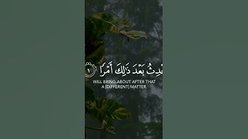 لا تدري لعل الله يحدث بعد ذلك امرا ) القارئ رعد الكردي