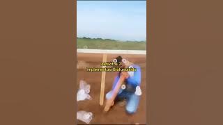 Efikasi Beberapa Formulasi untuk Menekan Patogen Phytopthora nicotianae pada Tanaman Nanas