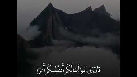 اجمل حالات واتس اب قران القارئ طارق محمد😴❣حالات واتس اب دينية تلاوة خاشعة