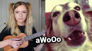 Autotune Dog sings better than 99% of human population
