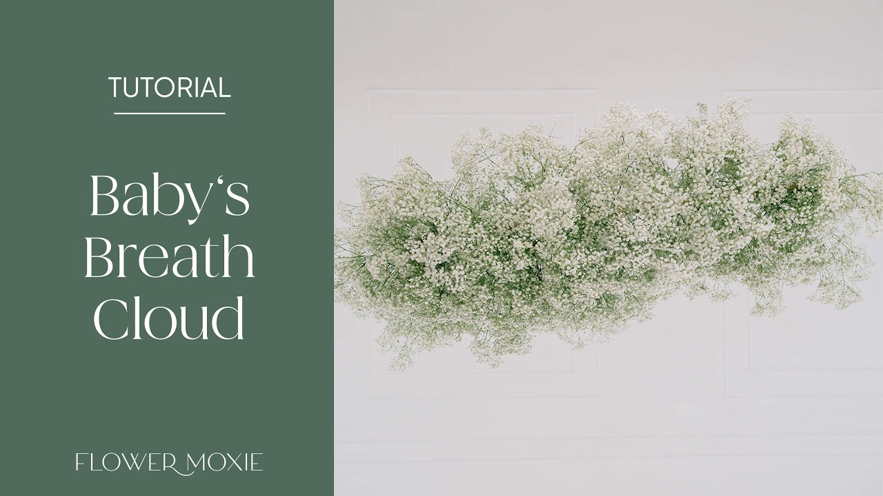 Baby's Breath Flower New Love | DIY Wedding Flowers | FiftyFlowers