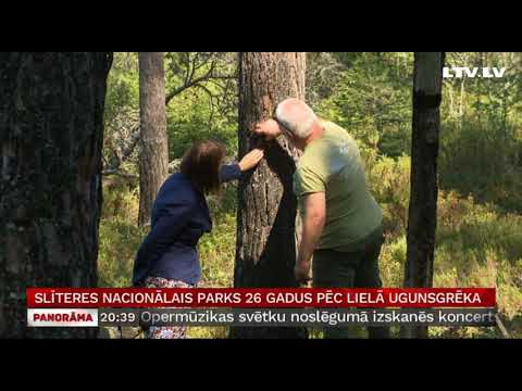 Video: Labākais Laiks, Lai Apmeklētu 5 Populārākos ASV Nacionālos Parkus