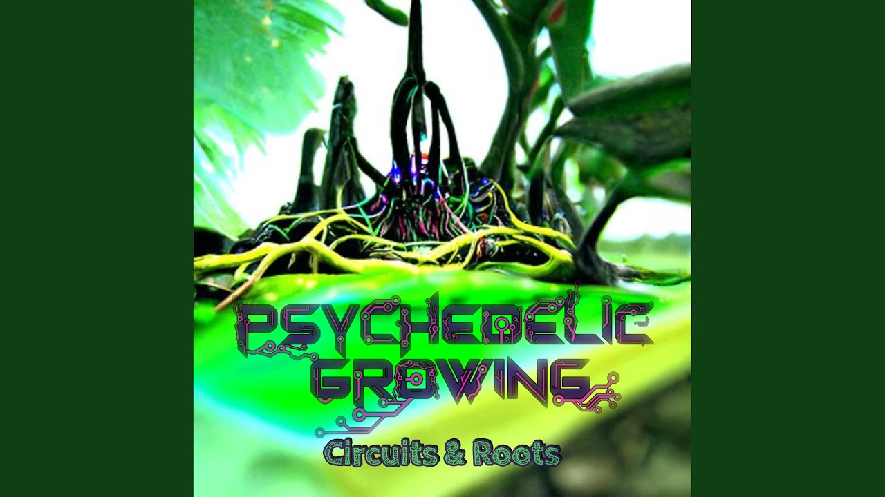 Watch Frequency Modulator on YouTube Watch Frequency Modulator on YouTube