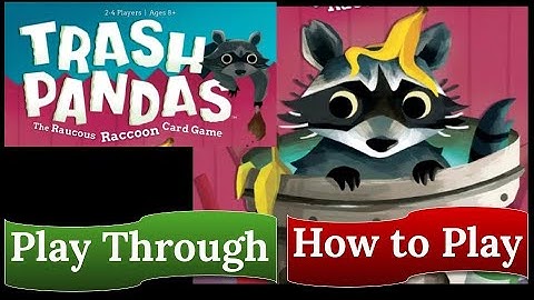 Trash Pandas: Play Through & How to Play