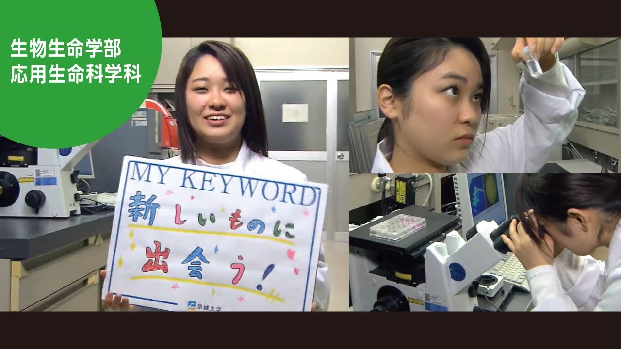崇城大学 生物生命学部 応用生命科学科 2020 YouTube 崇城大学 生物生命学部 応用生命科学科 2020 YouTube