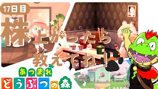 【17日目】株上がったら教えてね！ちょこっと遊ぶぜ【川鰐グラムのあつまれどうぶつの森】（あつ森）
