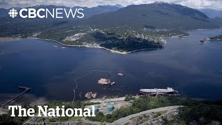 B.c. Now Backing Plan To Boost Trans Mountain Pipeline Capacity