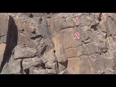 The Elephant S Signal With The Payload And The Target Opposite The Elephant S Sight