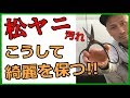 【メンテナンス】剪定木バサミの松ヤニを取る方法!!手入れはその日のうちに!!綺麗に簡単にコスパよくメンテをする方法!!#稲屋の田舎チャンネル