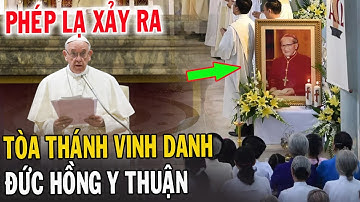 🔴Bất Ngờ Chuyện Lạ Có Thật Về Về Đức Hồng Y Phanxicô Xaviê Nguyễn Văn Thuận - Xin Cầu Nguyện