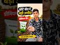 छोटे से खेत में बो दिए हरी धनिया के बीज 🌱 | Mini Vlog