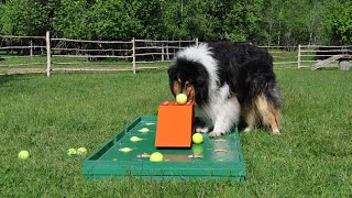 Billiard with billy goat 2017 / Old games