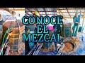 Así Se Hace El Mezcal