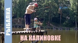 Удачная рыбалка на Калиновке!