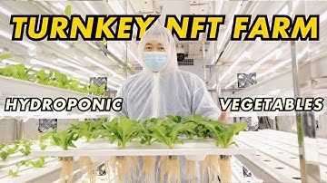 Climate-Controlled Vertical Farm: NFT Technology & Industrial HVAC System