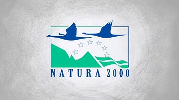 Biodiversity: what does it mean and why should we care?