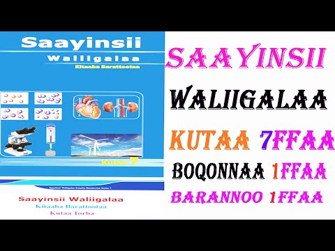 SAAYINSII WALII GALAA KUTAA 7FFAA BOQONNAA 1FFAA BARANNOO 1FFAA UUMAMA SAAYINSIIFI DAMEEWWAN ISAA