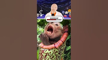 Plant that eats monkeys