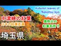 埼玉県 中津峡の紅葉（日本の紅葉百選）奥秩父を代表する紅葉スポット / Autumn leaves of Nakatsu-kyo Valley ( Saitama, Japan )【日本の紅葉絶景！】
