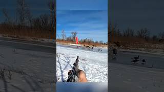 Охота на гусей 🎯 | Лучшие выстрелы по гусям | Goose Hunting Shots 2025#охотанагусей #гусинаяохота