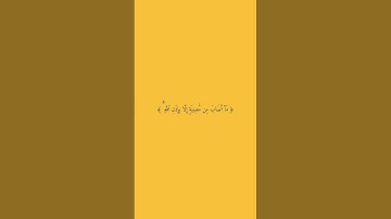 القارئ رعد الكردي "سورة التوبه"