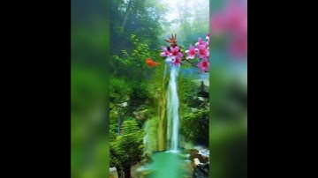 nature beauty | relaxing music | good morning music |#relaxingmusic #shorts