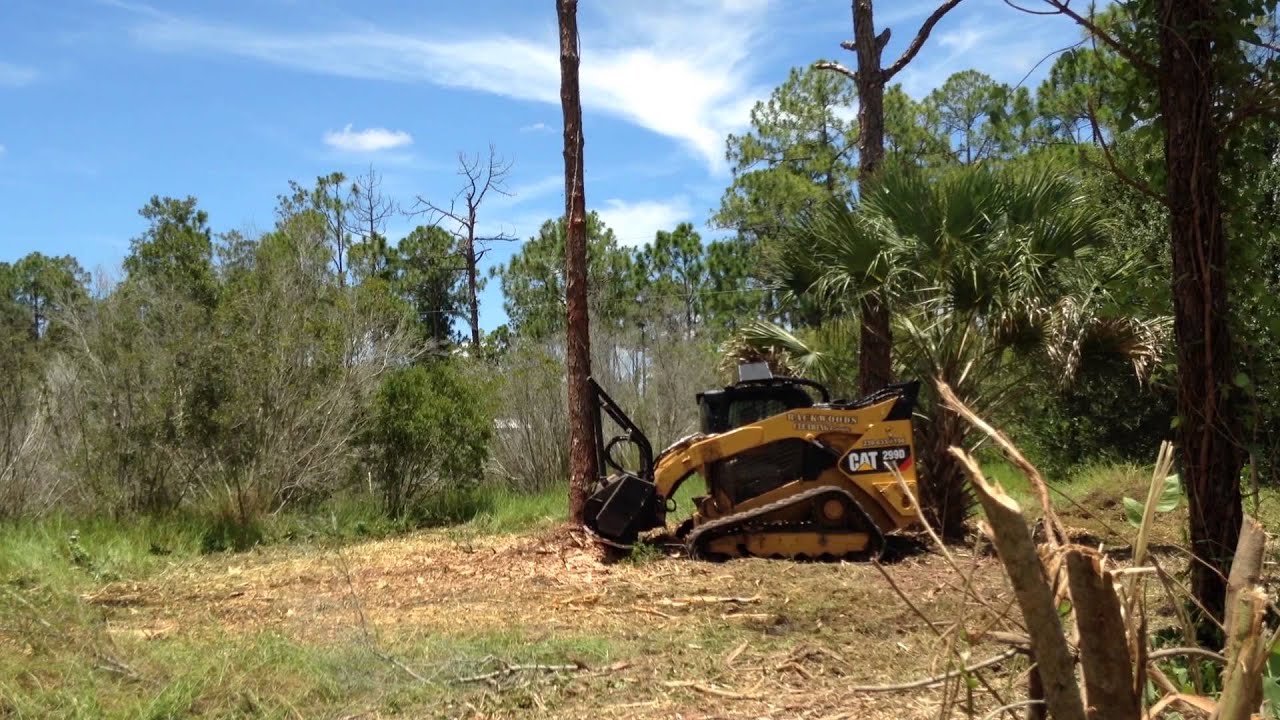 Backwoods Land Clearing Video - YouTube