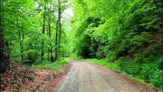 Idhayathai Thirudathe Bgm || Maestro Ilayaraja