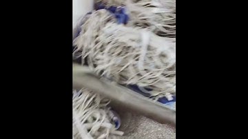 Point light source speeds up production, #sourcefactory #actual factory video