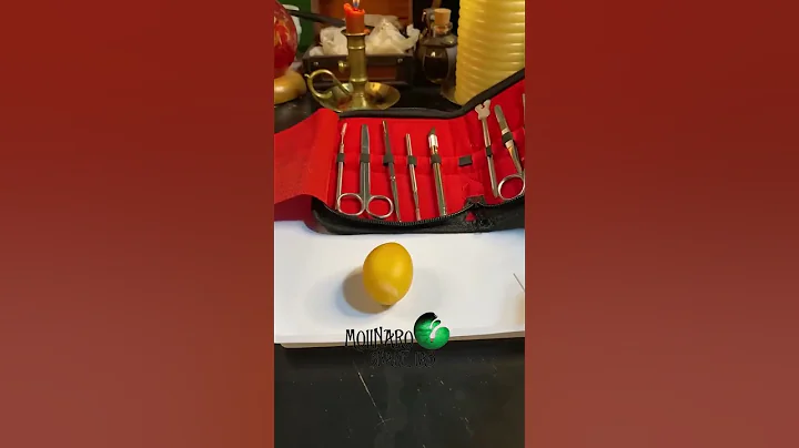 🐍 What is inside a slug?🧪 #snakes #shorts #sawa #ballpython #educator #badegg #gross #piton #pyton