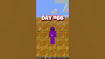 Day 66: Building a Minecraft House One Block a Day