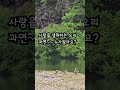 노지차박지에서 #차박 #차박지추천 #노지차박지 #오리
