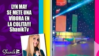 LYN MAY SE METE UNA VÍBORA EN  LA COLITA!!!  ShanikTv