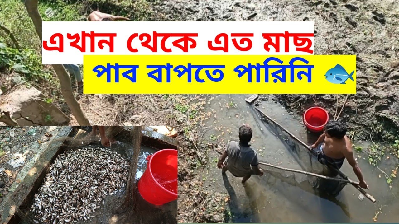এখান থেকে এত মাছ পাব বাপতে পারিনি। 🐟 KHAN AGRO 