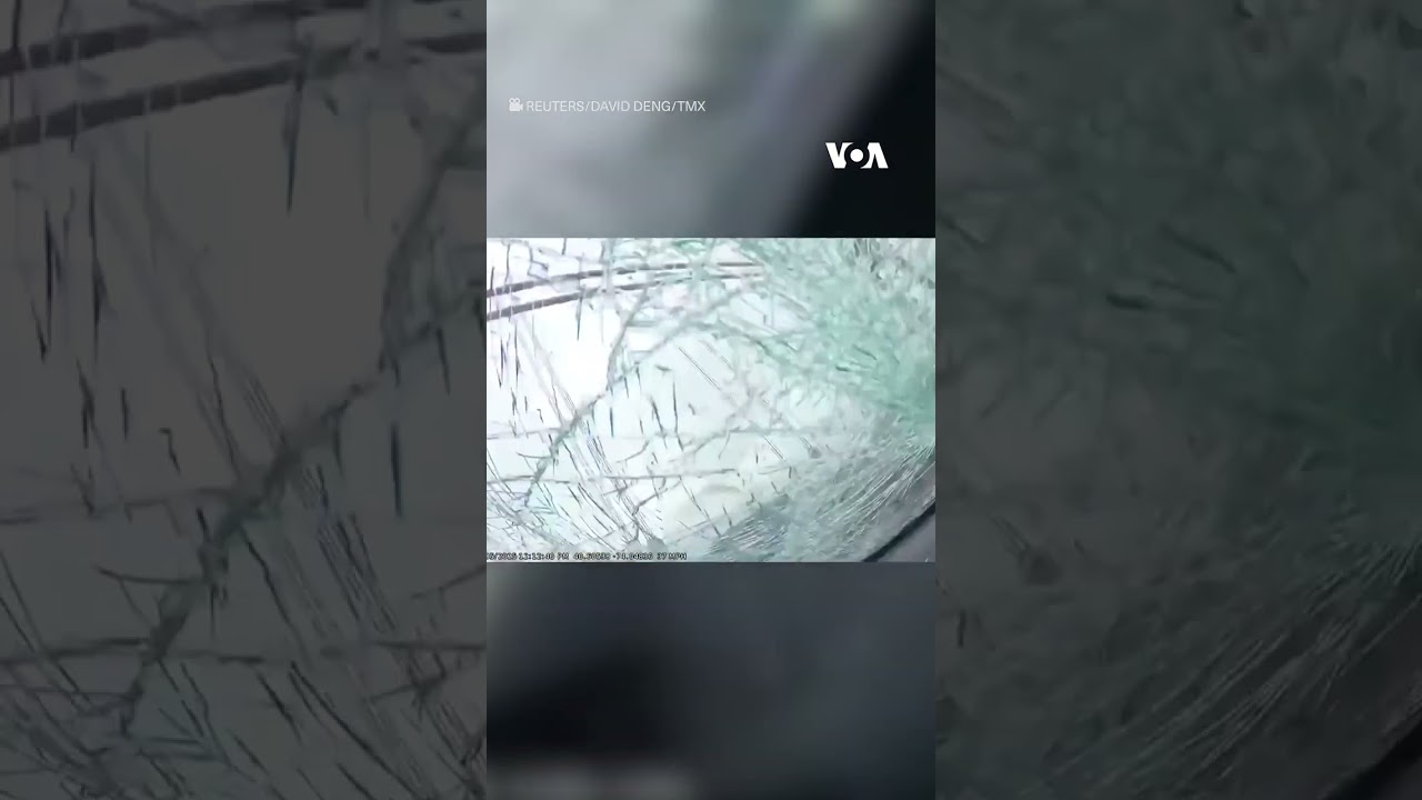 Nyu Yorkda u&ccedil;an taxta l&ouml;vhə avtomobilə &ccedil;ırpıldı