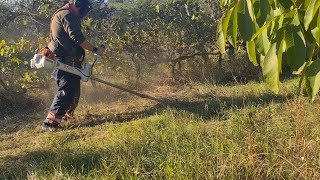 World's Most Powerful Brush Cutter - Is It Worth The Hype?