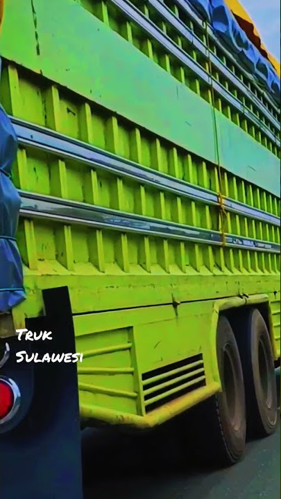 Truk Hino 10 Roda  Ekspedisi Sulawesi  #transsulawesi #morowali #trukhino500 #Truk #trukoverload