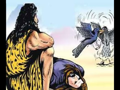 القصص القراني قصة الغراب الذي علم ابن ادم كيف يدفن اخاه قصة رائعة جدا  القصص القراني قصة الغراب الذي علم ابن ادم كيف يدفن اخاه قصة رائعة جدا