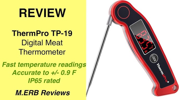 Javelin Pro Duo Meat Thermometer Review – At Home With Kayla Price