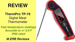 ThermoPro TP-19 Review - Smoked BBQ Source