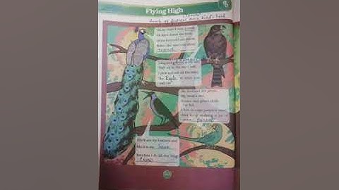 Class3,EVS,Chapter FlyingHigh