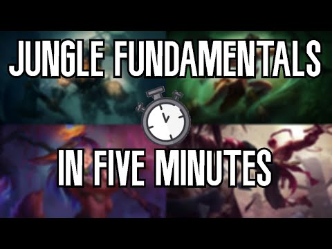 Jungle Fundamentals in 5 Minutes