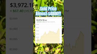 Gold Price Almost $4000!!! #silver #savings #metal #investing #coin #gold