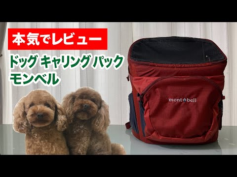 【商品紹介】ドッグキャリングパック モンベル - YouTube