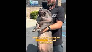 half life (0.3.3.7) (no effort) #halflife #halflife1 #shorts