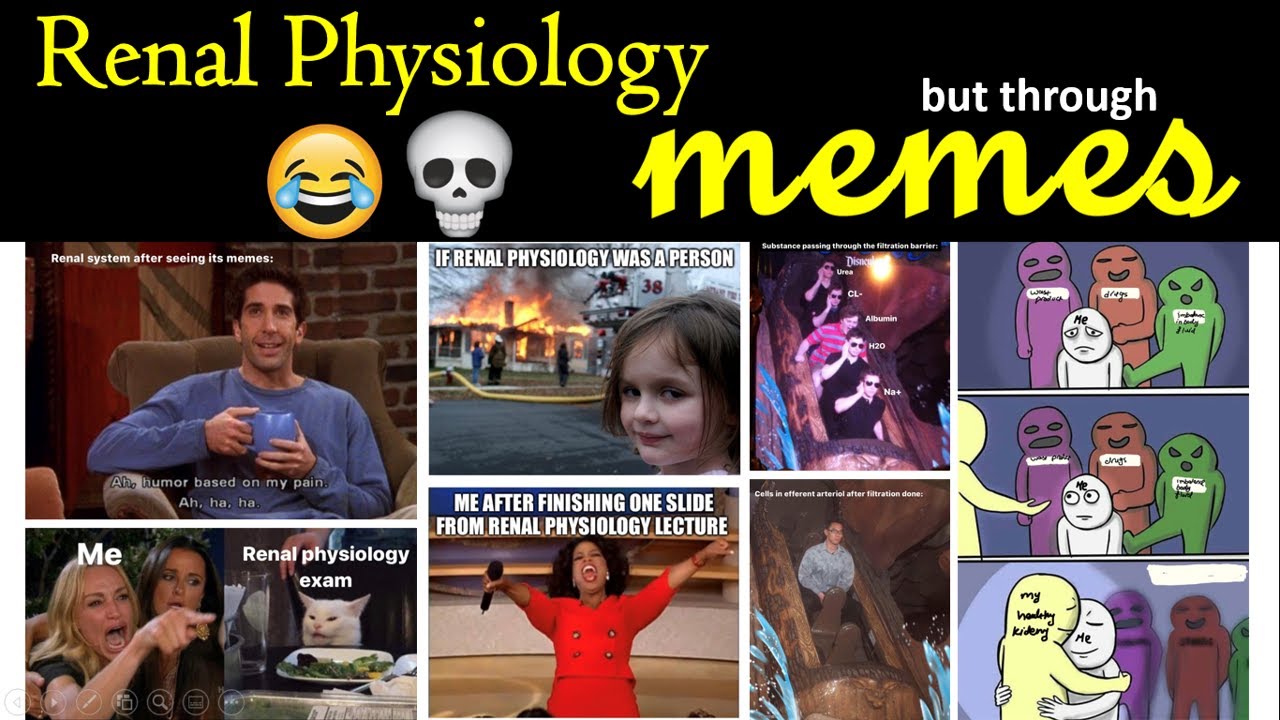 Renal physiology memes YouTube