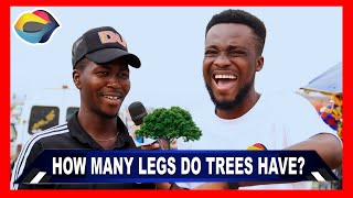 How Many Legs Do Trees Have? | Street Quiz | Funny Videos | Funny African Videos | African Comedy |
