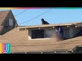 Mujer se esconde en su techo para salvar su vida